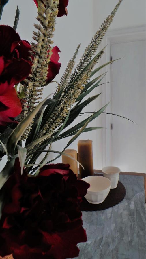 A Casa Di Nonna B&B Tortoreto Esterno foto