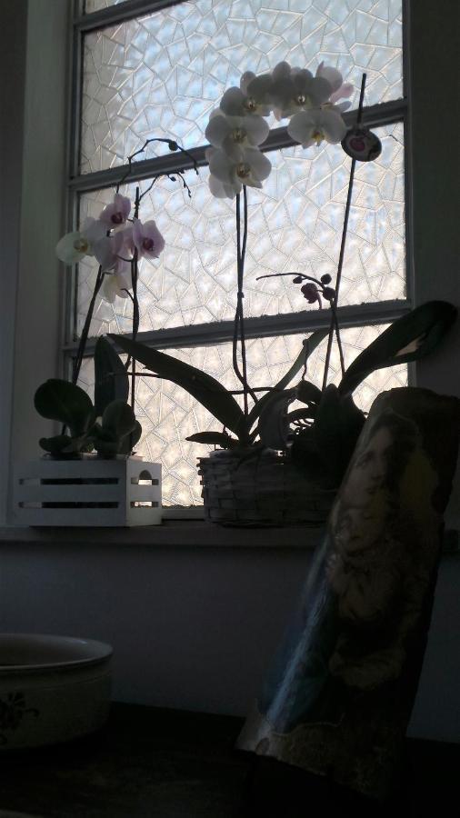 A Casa Di Nonna B&B Tortoreto Esterno foto