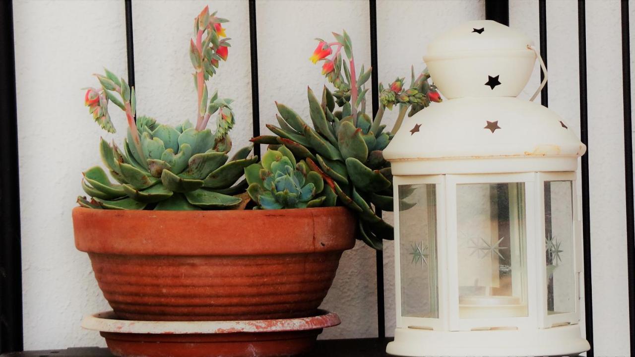 A Casa Di Nonna B&B Tortoreto Esterno foto
