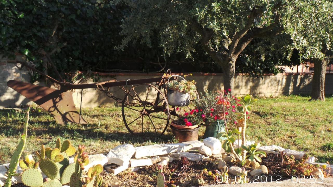 A Casa Di Nonna B&B Tortoreto Esterno foto