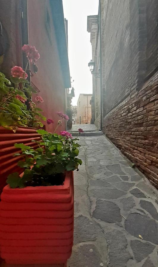A Casa Di Nonna B&B Tortoreto Esterno foto