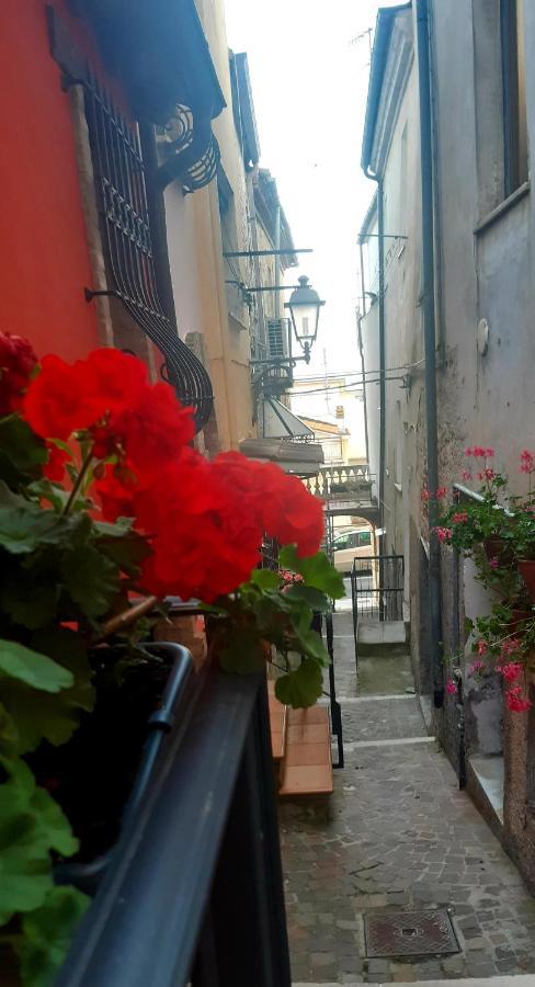 A Casa Di Nonna B&B Tortoreto Esterno foto